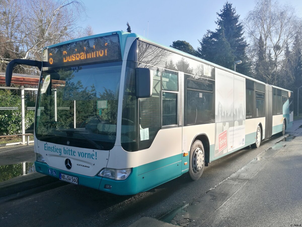 Mercedes Citaro II der Neubrandenburger Verkehrsbetriebe in Neubrandenburg.