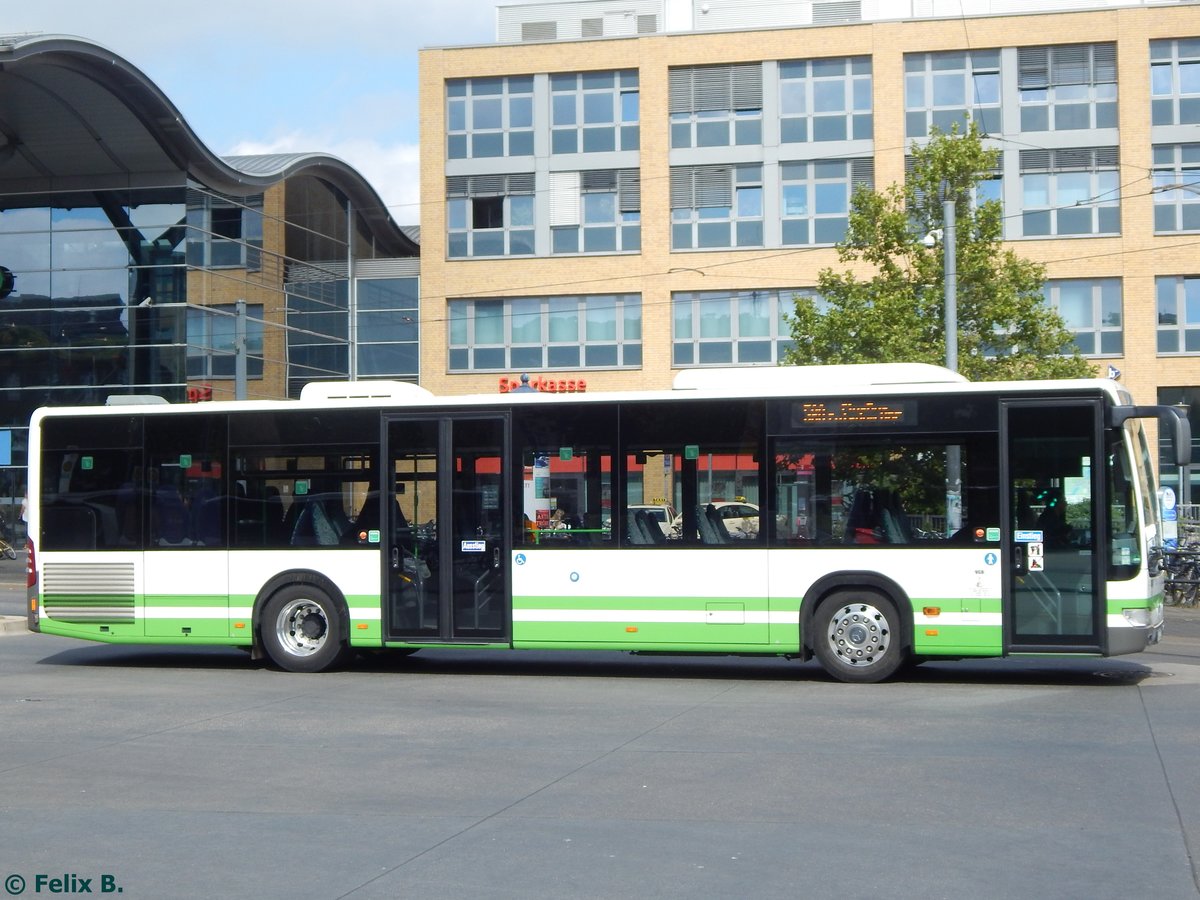 Mercedes Citaro II der Verkehrsgesellschaft Belzig mbH in Potsdam.