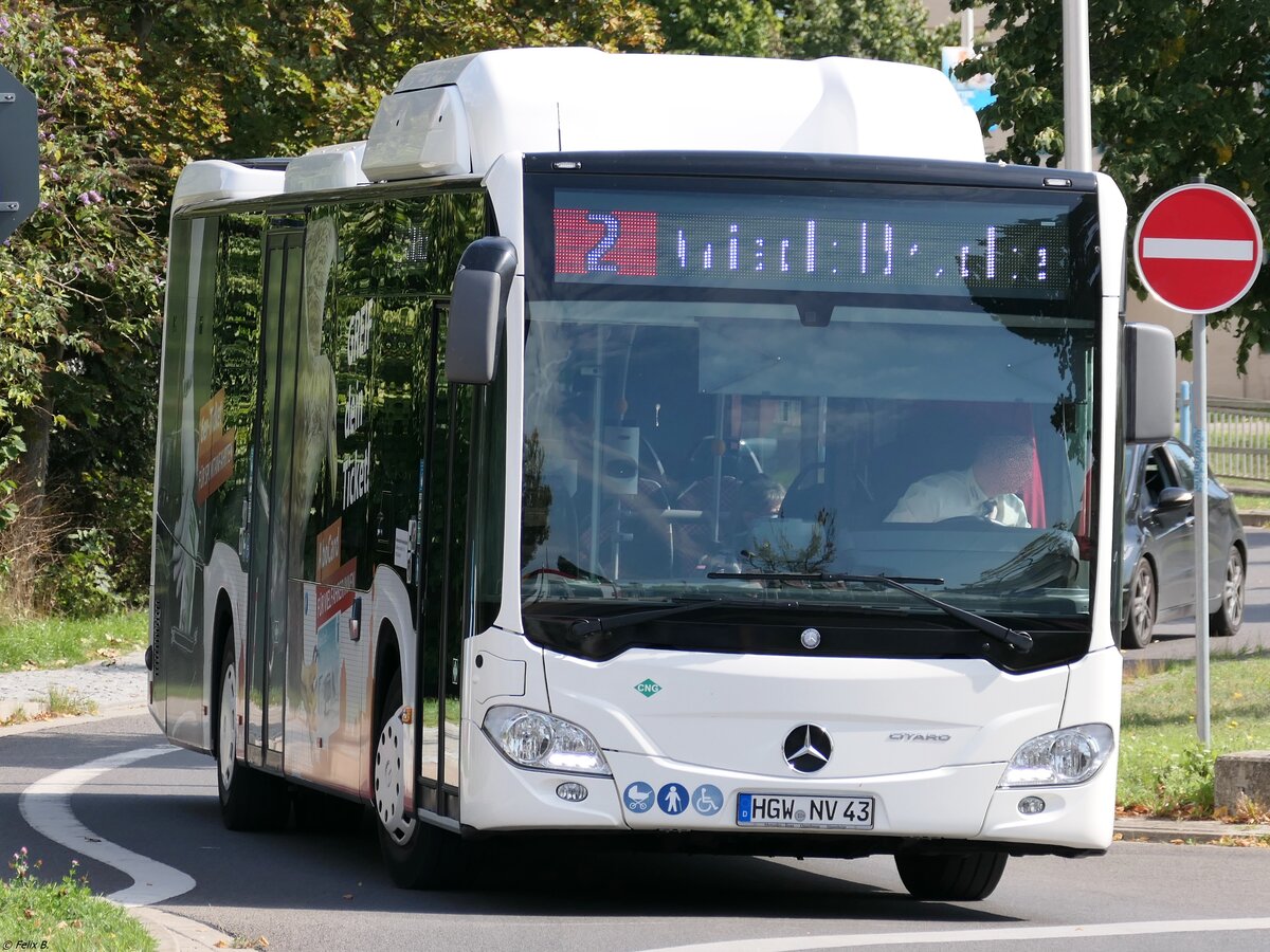 Mercedes Citaro III NGT der Stadtwerke Greifswald in Greifswald.