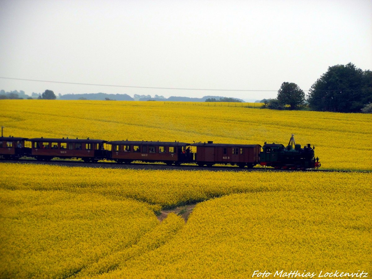 Mh 52 der RBB mit dem Traditionszug kurz vor Putbus am 21.5.16