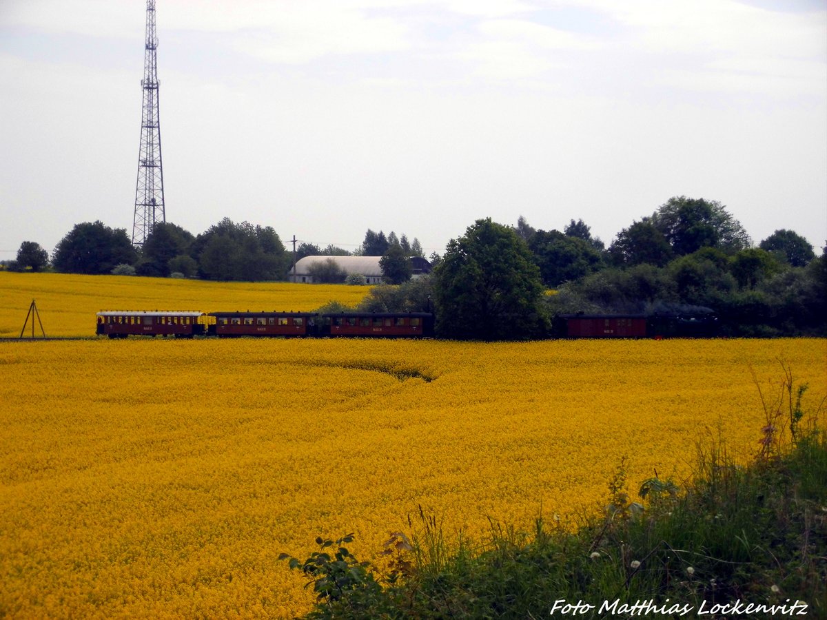 Mh 52 der RBB mit dem Traditionszug kurz vor Putbus am 21.5.16