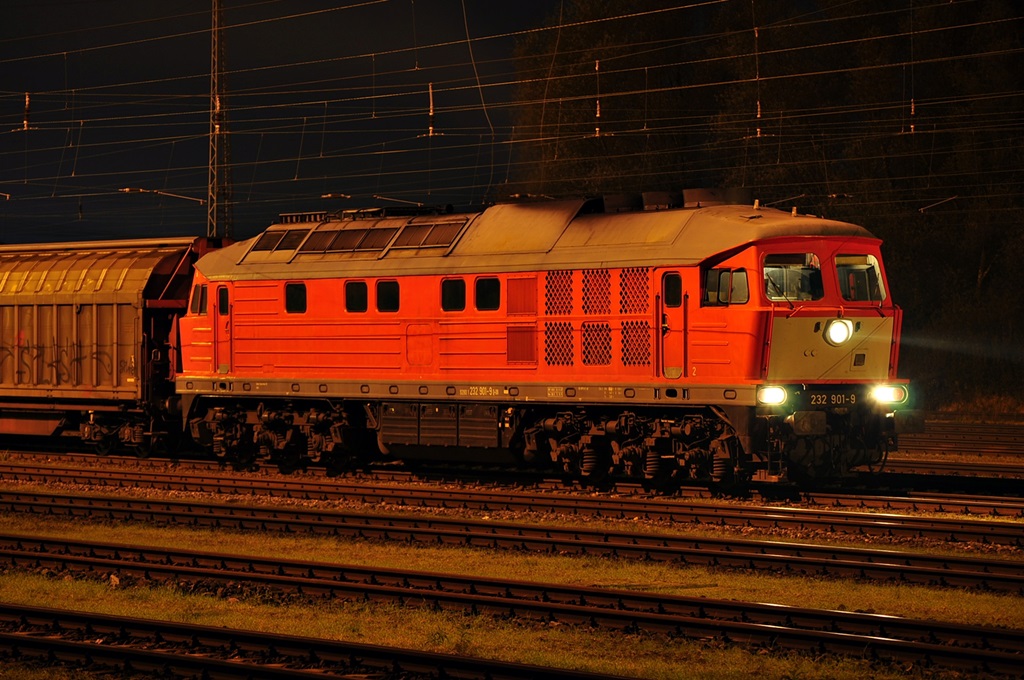 Mit dem EZ 52339 nach Seddin wartet die 232 901 am 30.10.0104 in Rostock-Seehafen auf die Abfahrt.