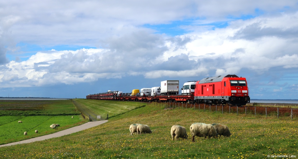 Mit einem Syltshuttle nach Niebüll fuhr die 245 024 am 02.09.17 durch den Friedrich-Wilhelm-Lübke-Koog.