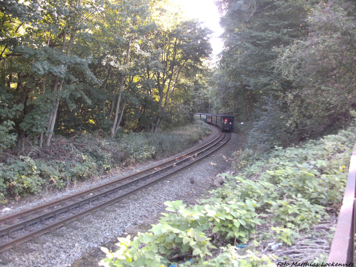 Mit Personenwagebn Voraus kam RBB 99 4011 aus Lauterbach Mole wieder nach Putbus zurck bei der Einfahrt in Putbus am 30.9.13