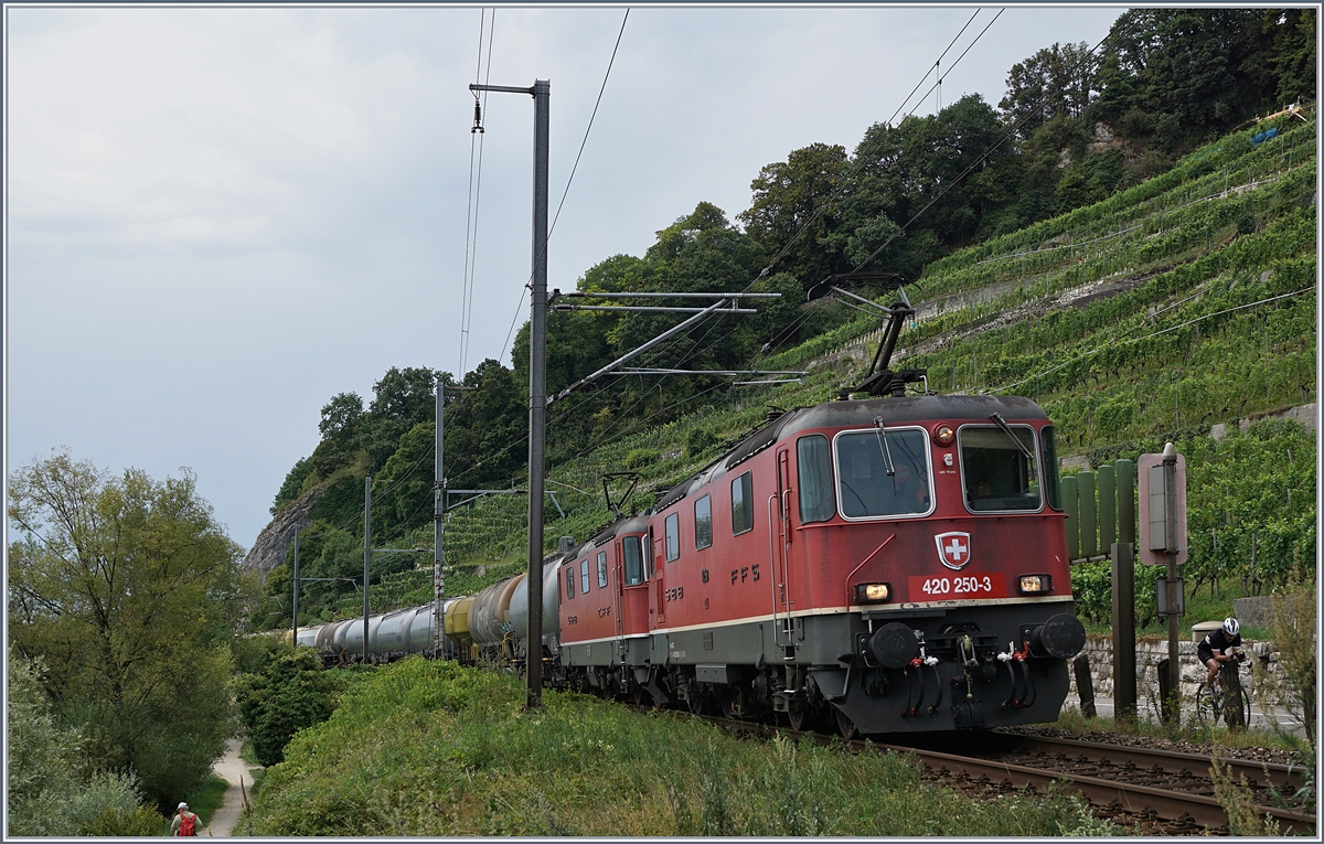 Mit zwei Re 4/4II (Spitzenlok ist die Re 420 250-3 fährt kurz vor Twann ein Kesselwagenzug Richtung Biel/Bienne.
31. Juli 2017