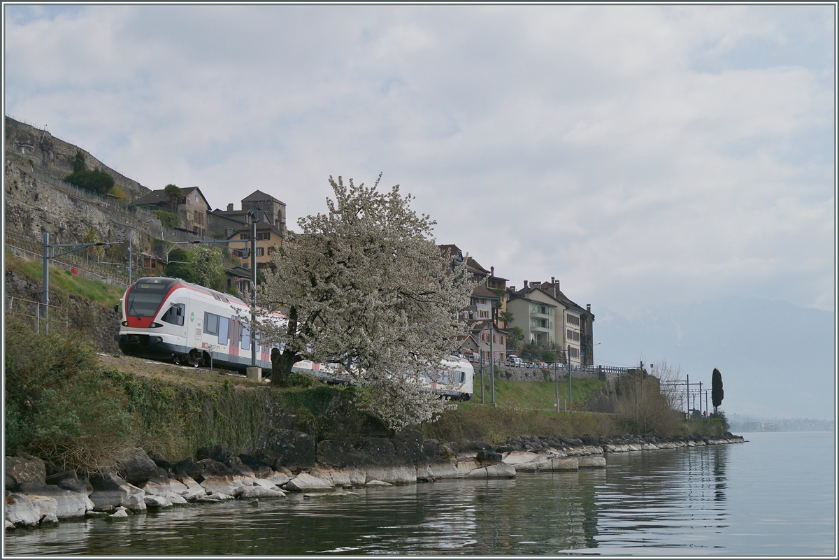 Motiv verdeckt, es sein denn, der Frühling sei das Motiv. 
Bei St-Saphorin, den 6. April 2014