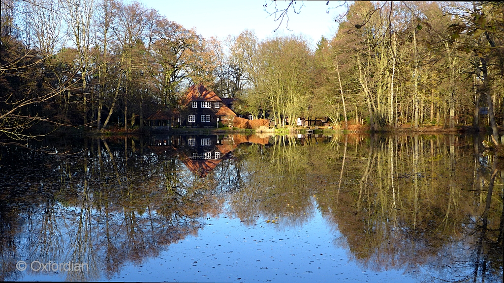 Mühlenteich in Schneverdingen-Lünzen, Lüneburger Heide. Der Teich wird gespeist durch die Veerse.