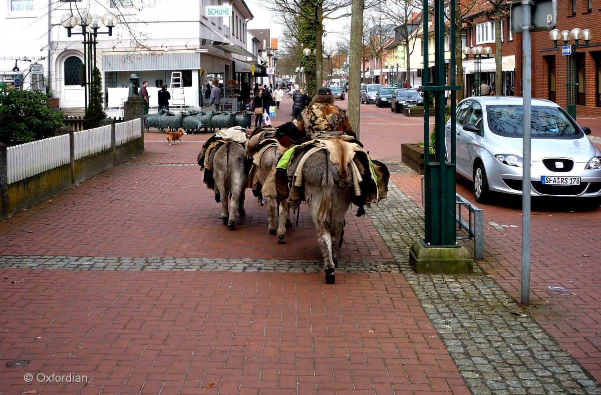 Munster (Örtze) - eine Eselkarawane zieht durch die Stadt. 