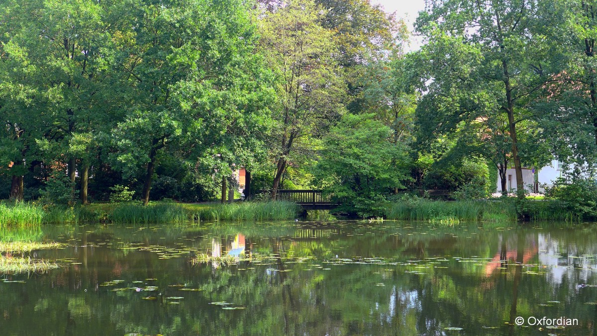 Munster (Örtze) - Mühlenteich.