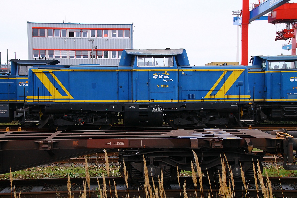 MWB/EVB 213 341-1 abgestellt am Euro Terminal in HH-Dradenau. 02.11.2013