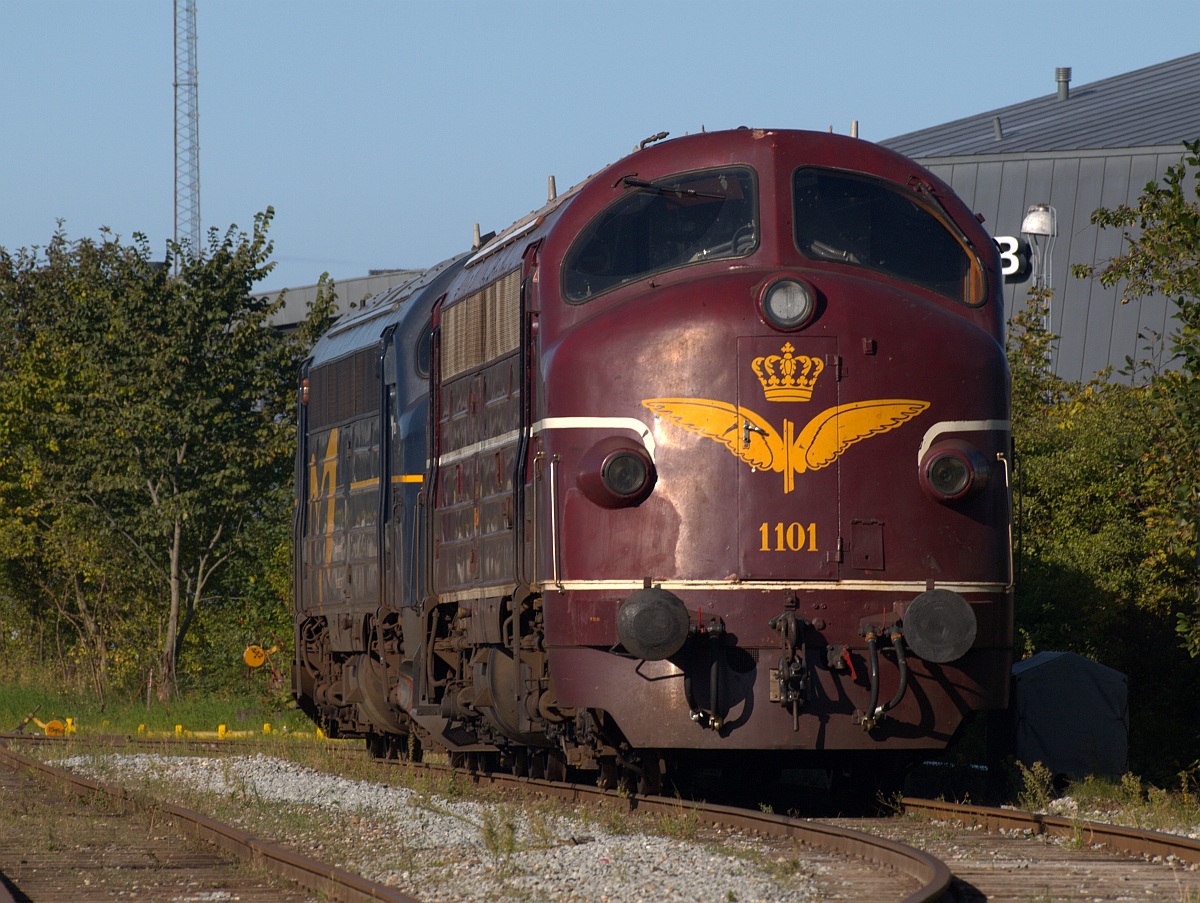 MY 1101 des DSB Museums und die MY 1135 Tjenestelokomotiv stehen hier in der Morgensonne in Aarhus und genießen das Wochenende. 19.09.2010