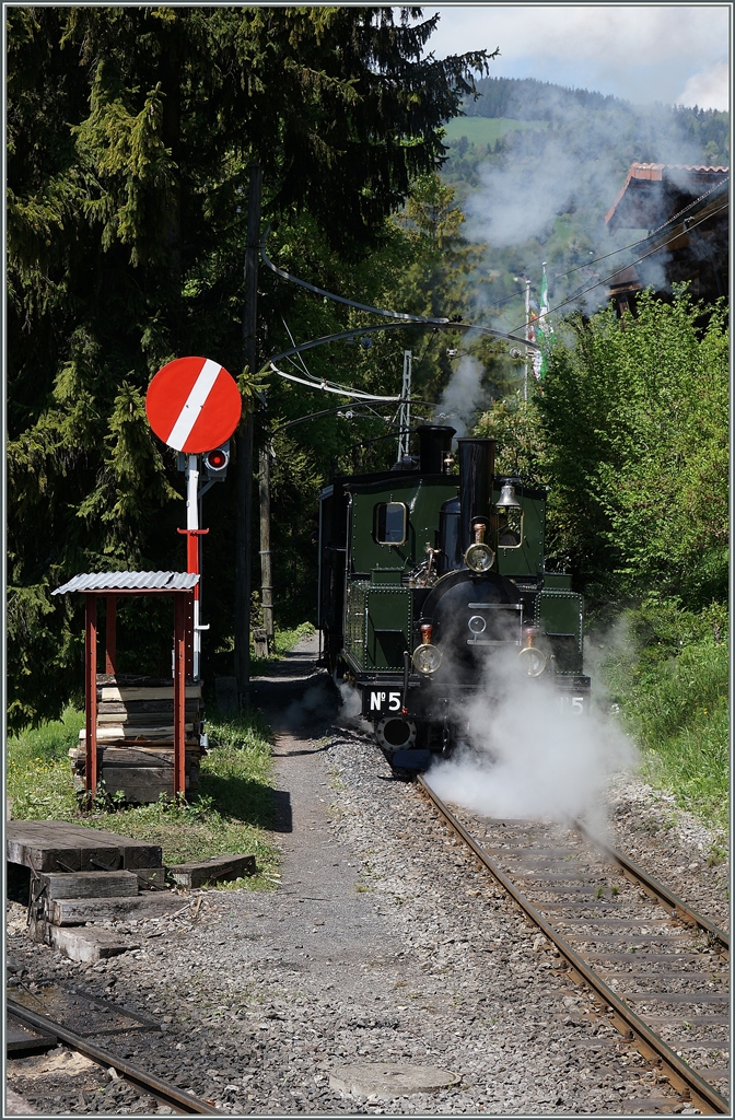 Nach dem Abstecher nach Chamby schieben die LEB G 3/3 N° 5 und die BAM G 3/3 6 ihren Zug nach Chaulin.
15. Mai 2016