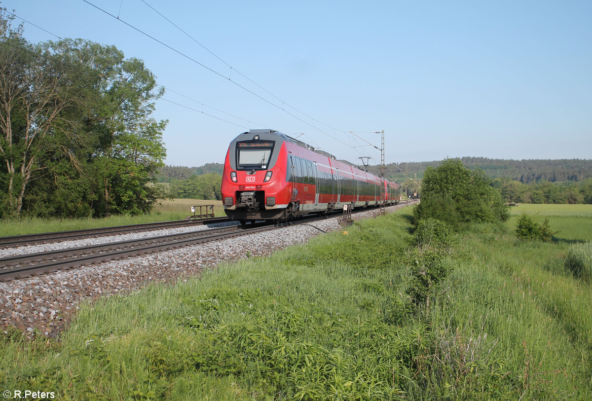 Nachschuss auf 442 304 als S1 39126 Neumarkt/Oberpfalz - Bamberg bei Pölling. 20.05.24