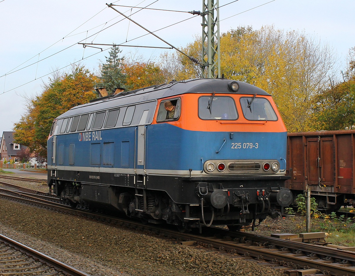 NBE 225 079-3 als Portrait aufgenommen im Bhf Jübek bei Schleswig am 23.10.2013