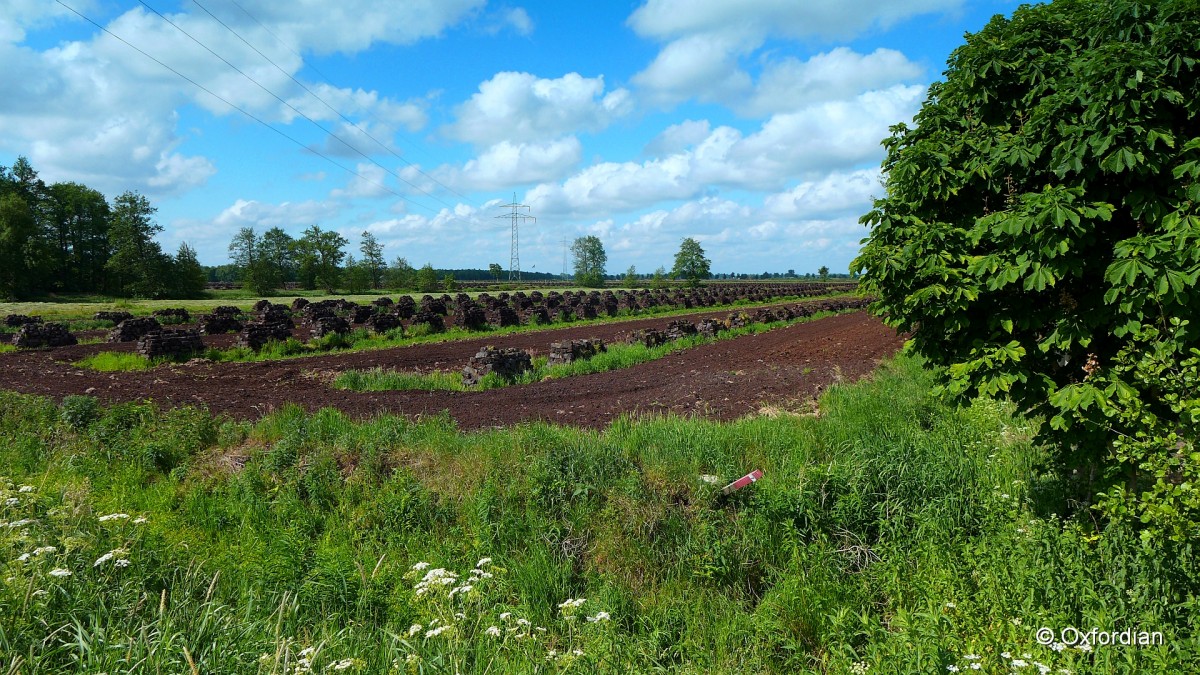 Neulander Torfmoor bei Wischhafen.