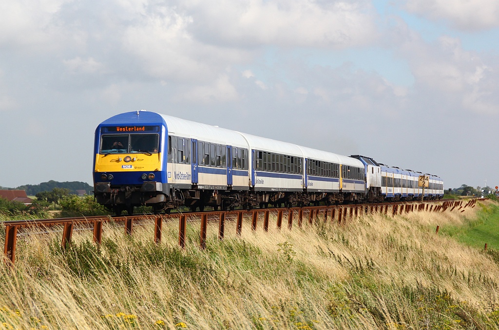 Nicht nur die Züge werden fotografiert, nein auch die Fotografen. Hier fungiert die 251 007-1/MaK DE 2700-07 als Schub und Zuglok einer NOB nach Westerland. Klanxbüll/Dreieckskoog 04.08.12