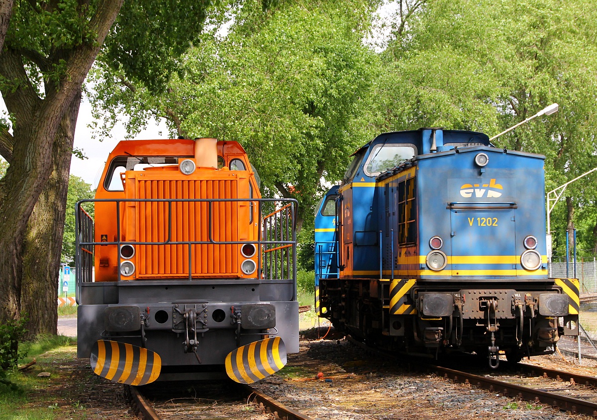 Northrail 0273 019-6(REV/NTS/12.02.13)und rechts die EVB/MWB V1202/1202 630-0 abgestellt am Ölhafen in Hamburg Dradenau. 29.05.2014