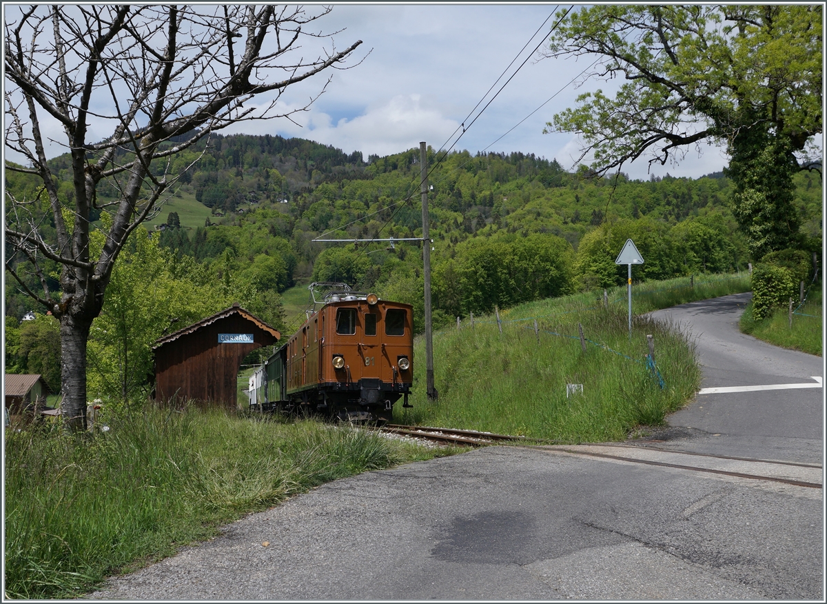  Nostalgie & Vapeur 2021  /  Nostalgie & Dampf 2021  - so das Thema des diesjährigen Pfingstfestivals der Blonay-Chamby Bahn; die Bernina Bahn RhB Ge 4/4 81 verlässt Cornaux in Richtung Chamby. 

22. Mai 2021
