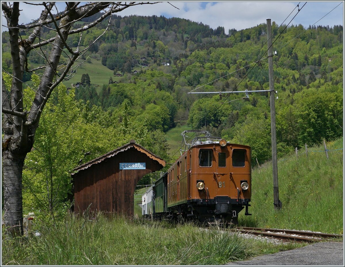  Nostalgie & Vapeur 2021  /  Nostalgie & Dampf 2021  - so das Thema des diesjährigen Pfingstfestivals der Blonay-Chamby Bahn; die Bernina Bahn RhB Ge 4/4 81 verlässt Cornaux in Richtung Chamby. 

22. Mai 2021