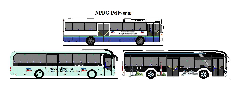 NPDG Pellworm - Mercedes Benz O 405 + MAN Lion's Regio + MAN Lion's City 12E