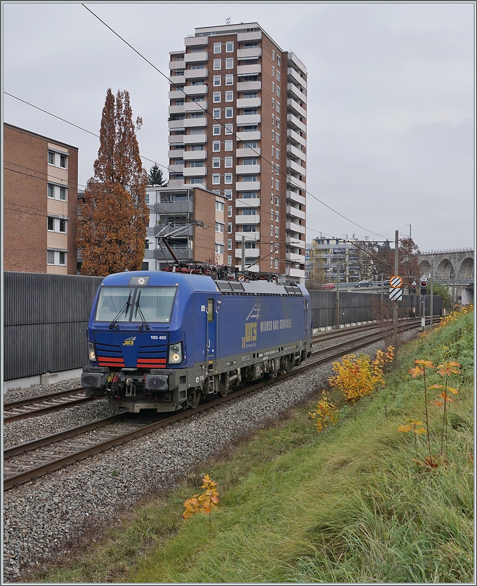 Nur 10 Minuten am Bahndamm gestanden... Nach dem Bild mit dem erwarteten RABe 521 117 wollte ich schon gehen, doch dass grüne Signal in Richtung Biel/Bienne war Grund genug, noch kurz zu warten und dann kam auch schon die WRS 193 493 die noch einen blauen Farbtupfer in den nebligen Tag setzte. Auch dieses Bild entstand zwischen Grenchen Süd und Lengnau.

11. November 2020