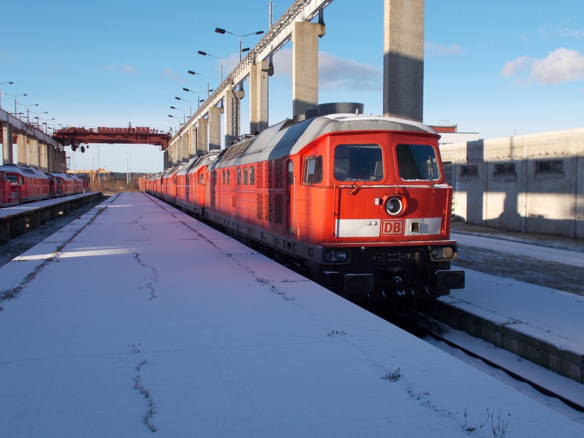 Ob dies für 233 536 ihr letzter Winter in Mukran war ? Aufgenommen am 29.Dezember 2014.