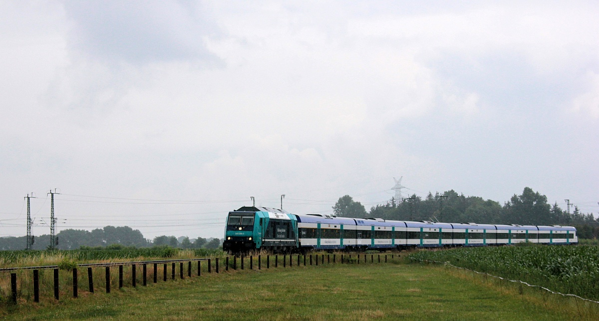 Paribus/NAH.SH/DB 245 204 mit umgeleiteten RE 6 nach Westerland. Bü Jyderupweg/Jübek 09.07.2021