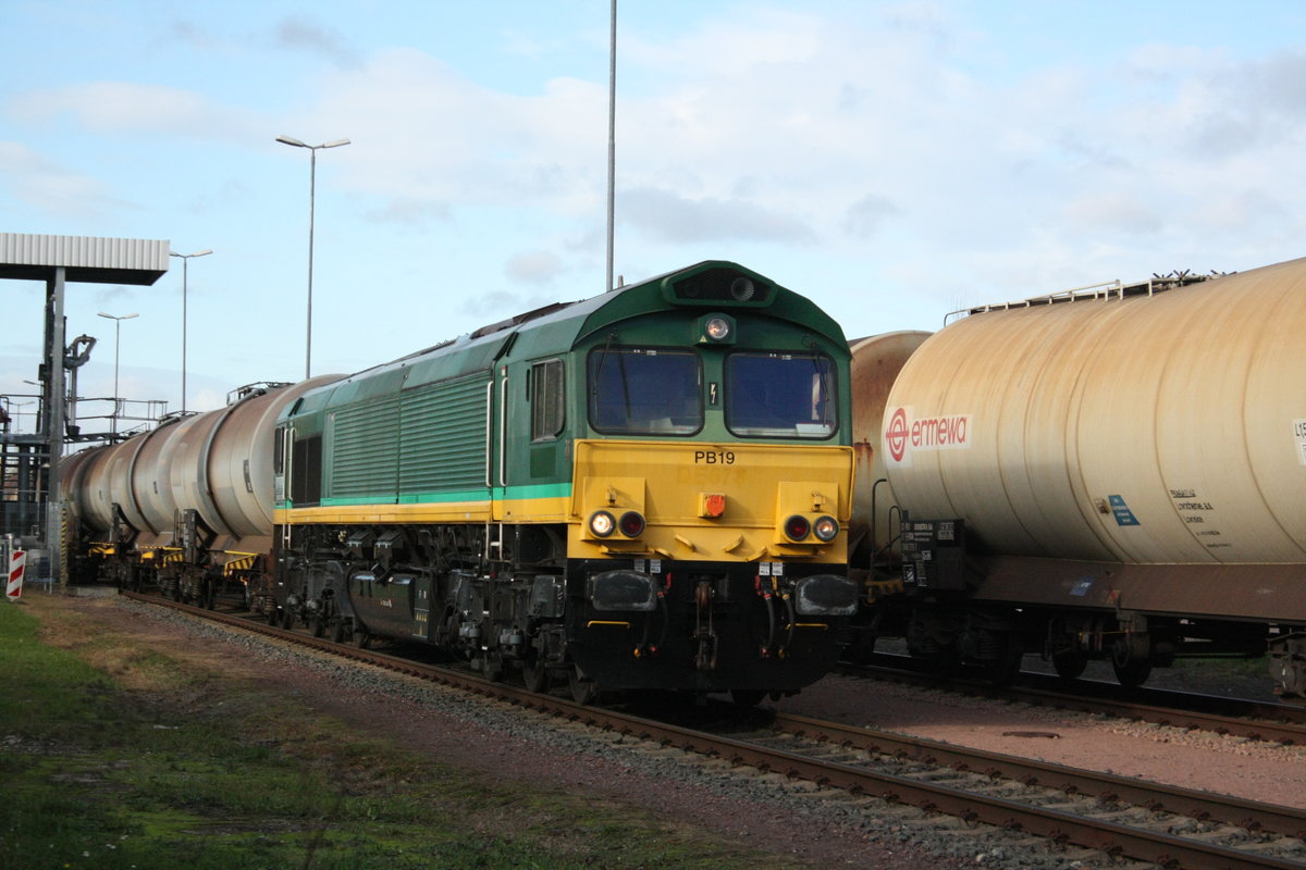 PB19 (266 023) der BRLL/CTHS im Saalehafen Halle-Trotha am 16.11.20