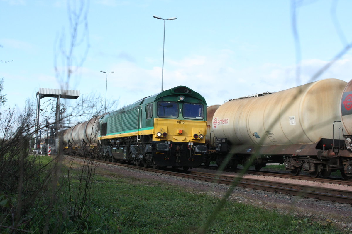 PB19 (266 023) der BRLL/CTHS im Saalehafen Halle-Trotha am 16.11.20