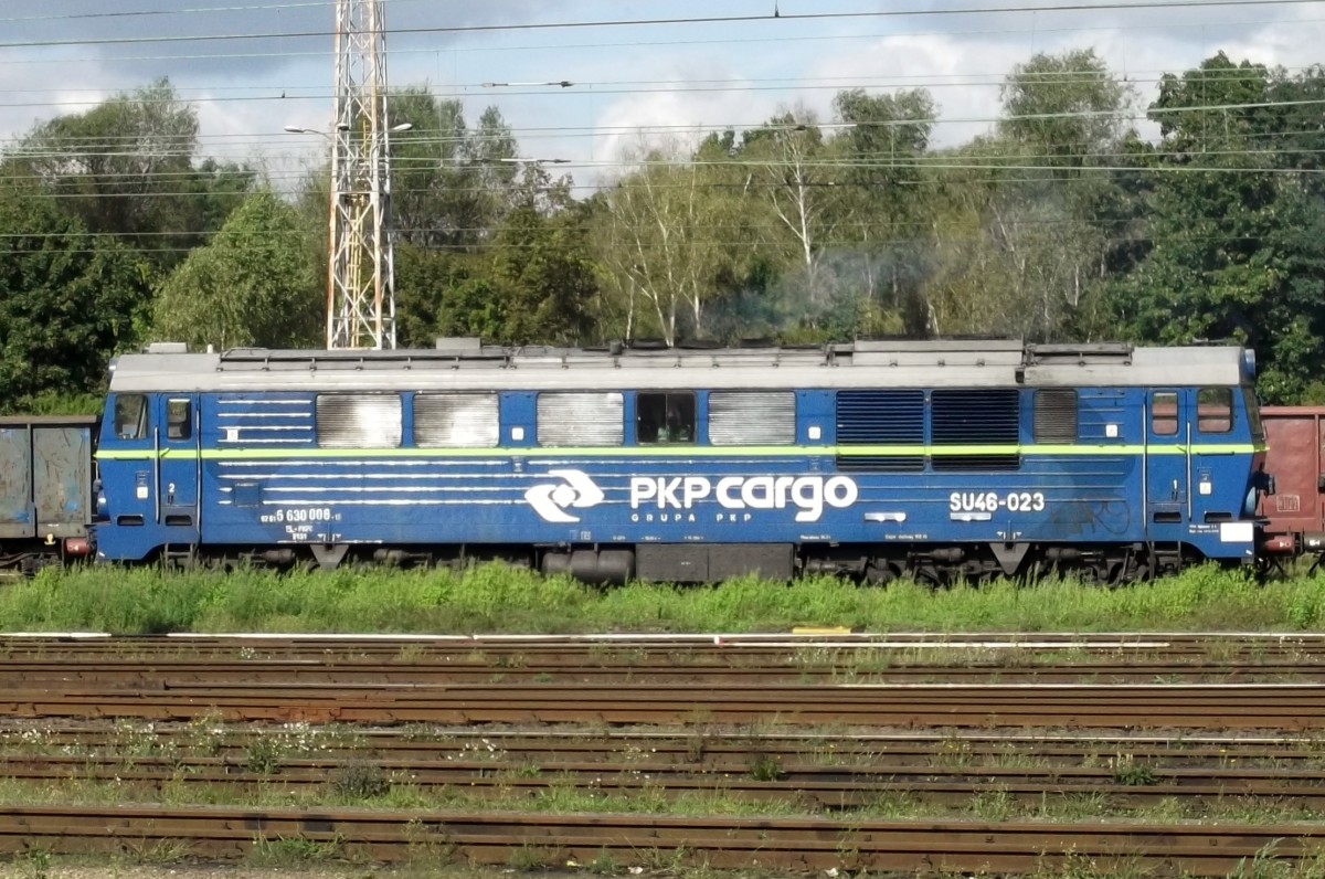 PKP SU46-023/650 008 lauft warm am 23 September 2014 in Wegliniec ein.