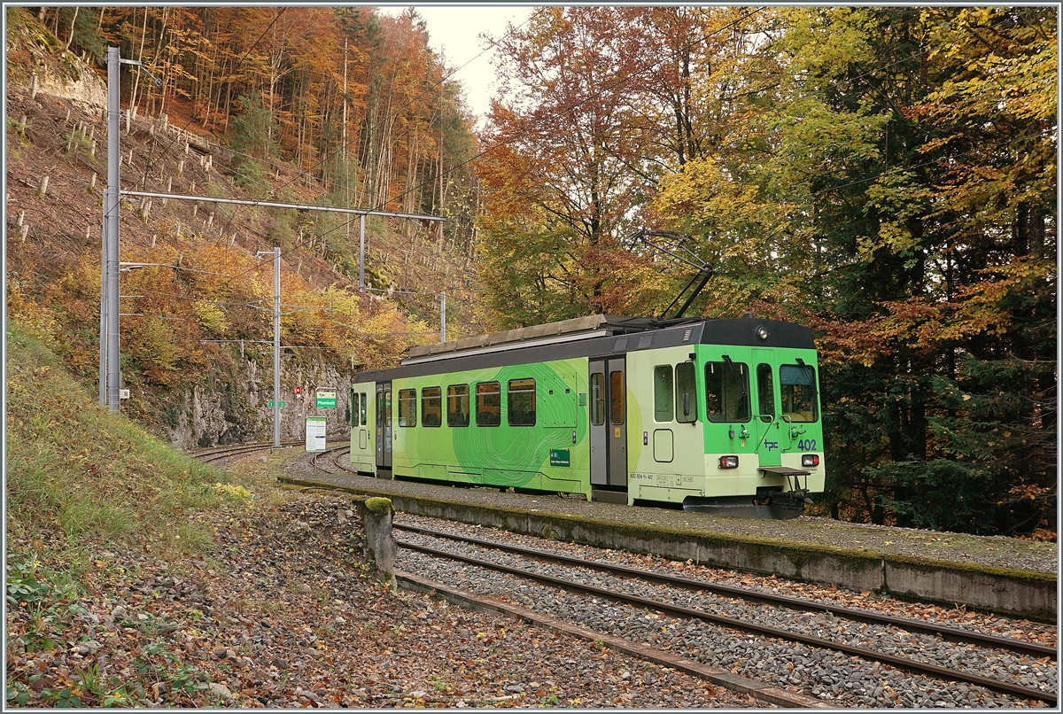 Plambuit - einer der zur Zeit zahlreichen ASD Endstationen... Unstabiles Gelnde hat schon vor einiger Zeit die Strecke zwischen Exergilloud und Le Spey (bzw. Les Planches) unterbrochen und nun hat die Forstwirtschaft beschlossen zwischen Plambuit und Exergilloud Waldarbeiten durchzufhren und dafr sicherheitshalber auch diesen Streckenabschnitt zu sperren. Und in Plambuit gibt es nichts, ausser viel Wald, eine Bahnhof und den ASD BDe 4/4 4/4 402 der auf die Rckfahrt nach Aigle wartet. 

5. November 2021