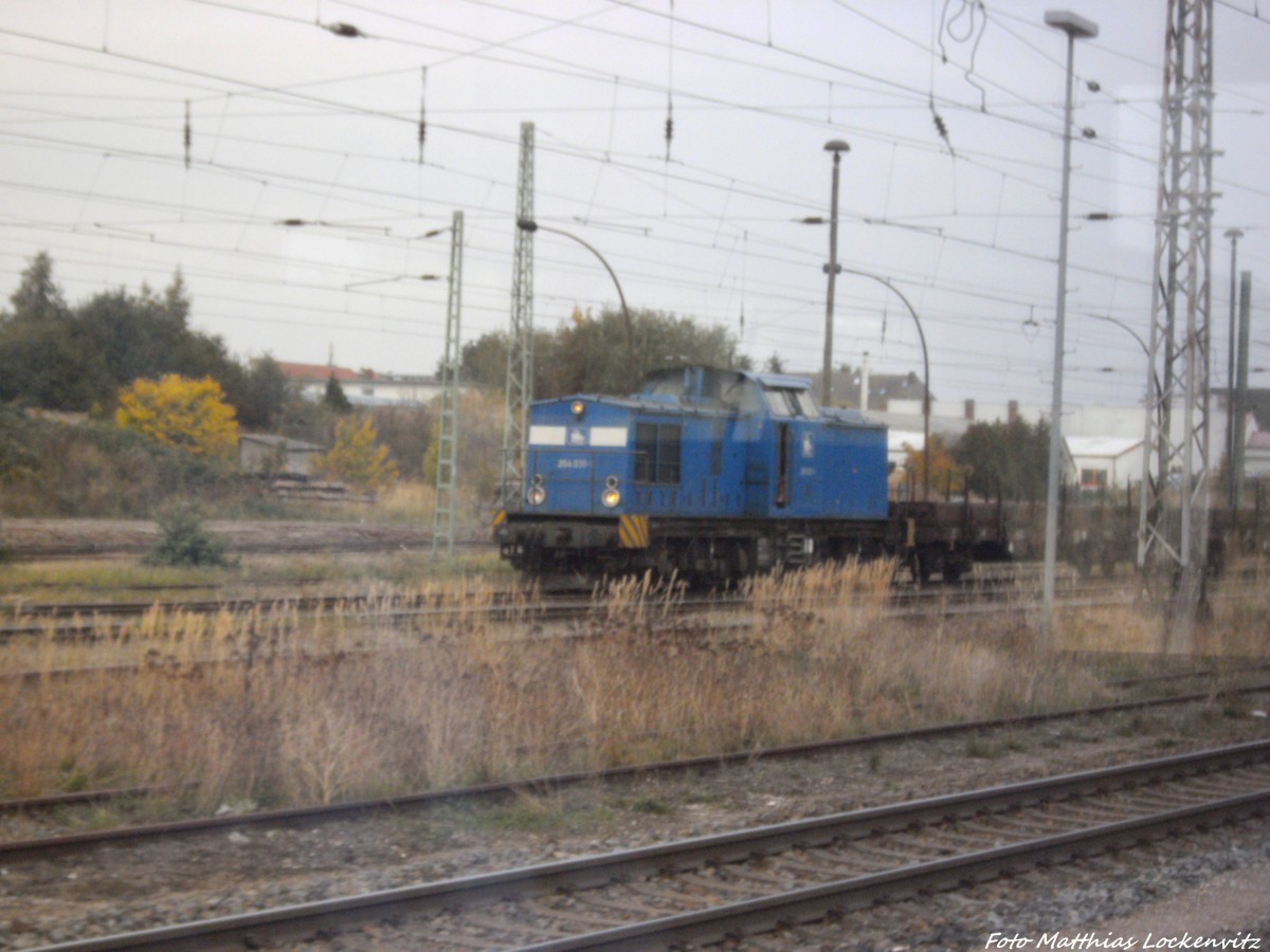 PRESS 204 031 im Bahnhof Bergen auf Rgen am 8.10.13