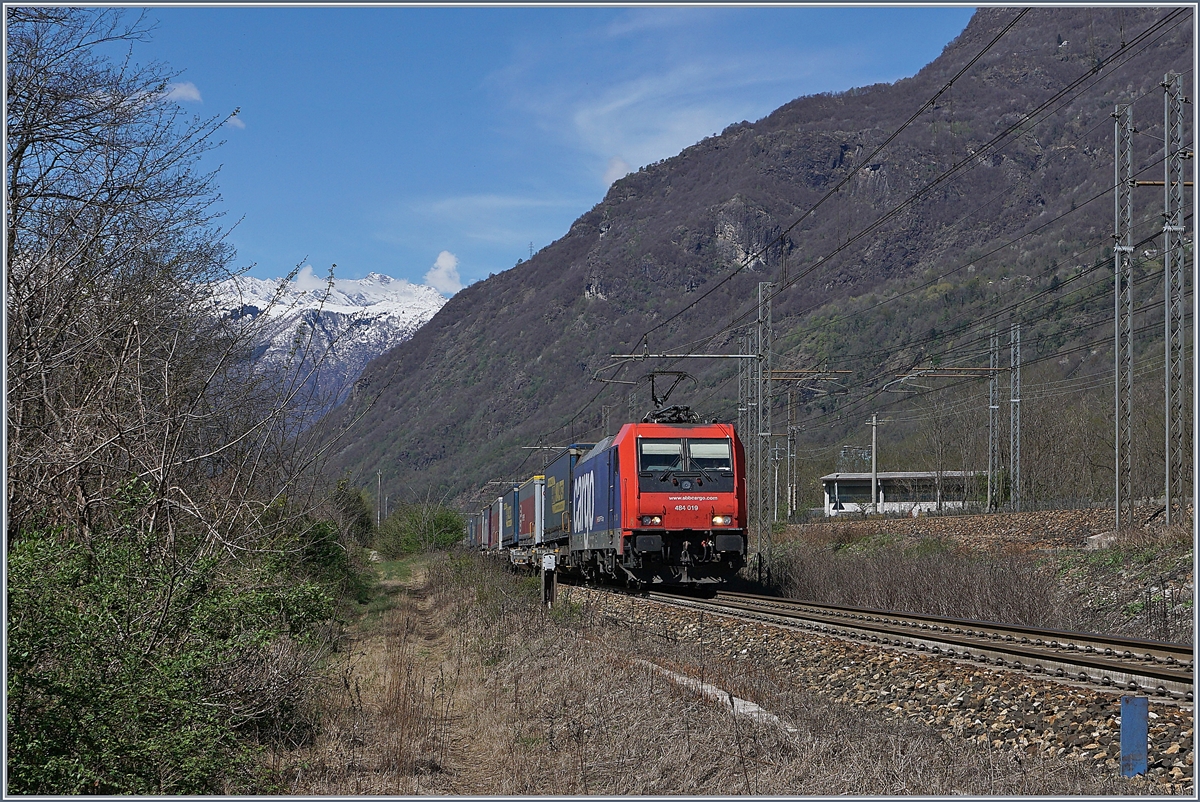 Pnktlich wie die Eisenbahn kommt die SBB Re 484 019 mit ihrer RoLa nach Novara kurz nach Premosello-Chiovenda bei meiner Fotostelle vorbei. Im Hintergrund ist die Doppelspurige Strecken von Domodossla nach Milano zu erkennen, die beiden Strecken von Domodossoala nach Milano und Novara verlaufen zwischen Vogogna Ossola und Cuzzago parallel, wobei nur in Premosello Chiovenda eine bergangsmglichkeit existiert. 8. April 2019