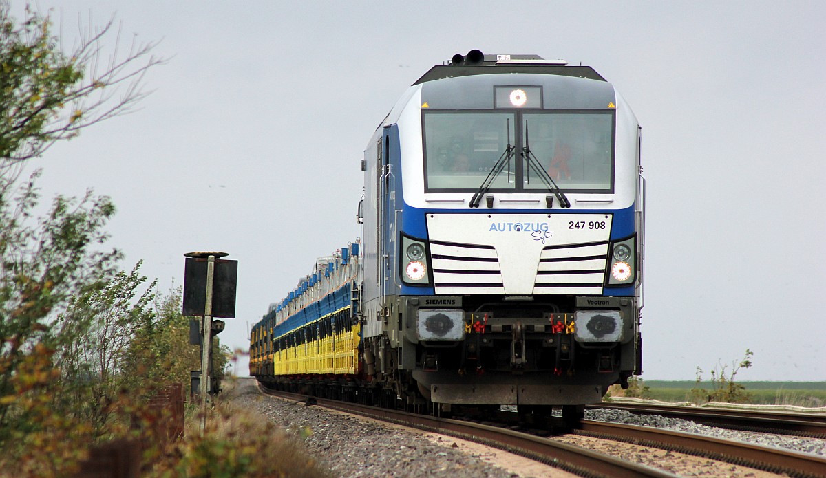 RDC 247 908 mit AZS nach Niebll, Dreieckskoog/Klanxbll 19.10.19 (08700)