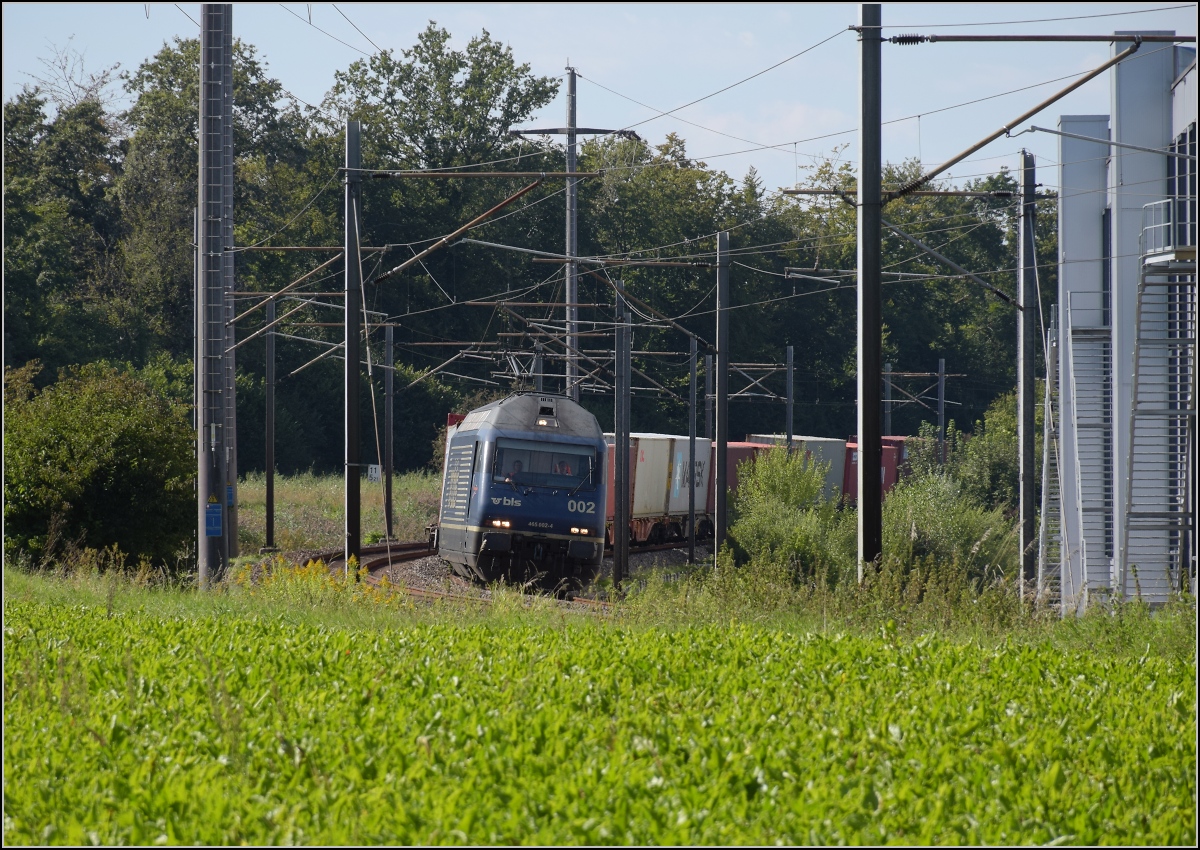 Re 465 002 mit einem Güterzug aus Singen bei Rümlang. September 2021.