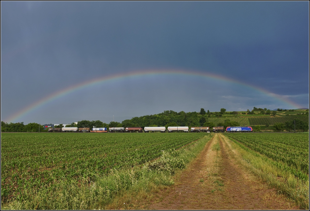 Re 482 019 mit Regenbogen bei Buggingen. Juni 2022.
