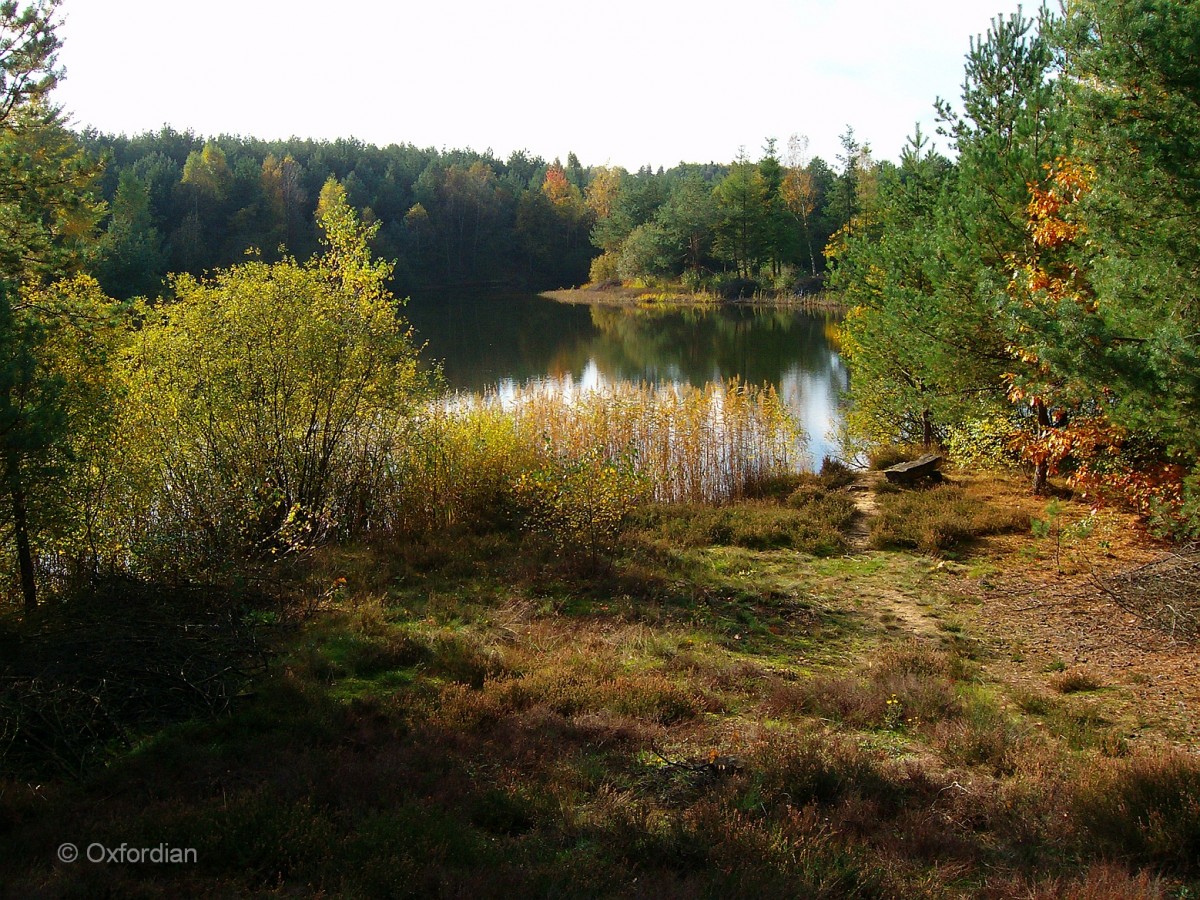 Reininger Kiesteich im Herbst.