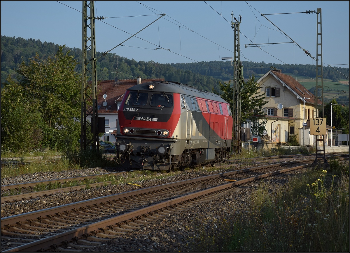 Rheintalumleiter im Hegau.

Fr den Autozug nach Lrrach kam die ehemalige GKB-Lok 218 256 nach Singen geeilt, lange vor ihrem Zug.

Welschingen, August 2021.