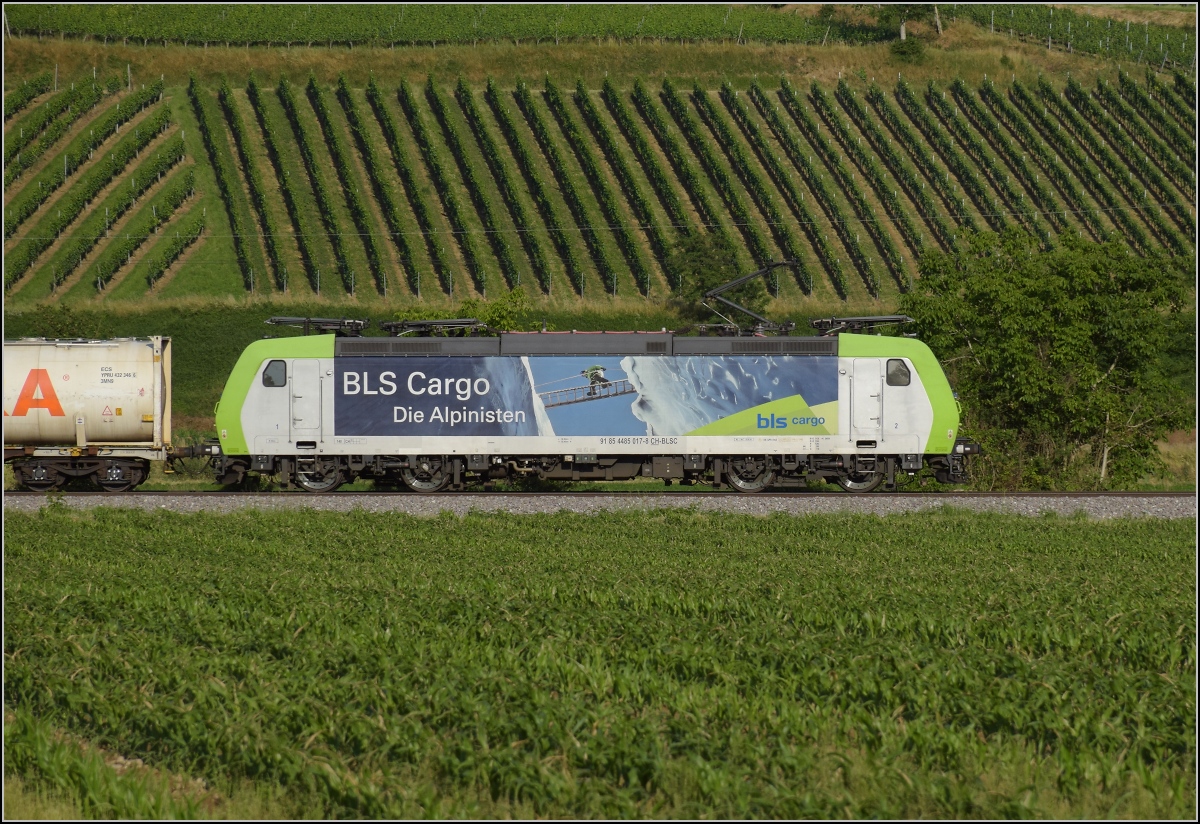 Richtung Basel ist Re 485 017 der BLS unterwegs. Buggingen, Juni 2022.