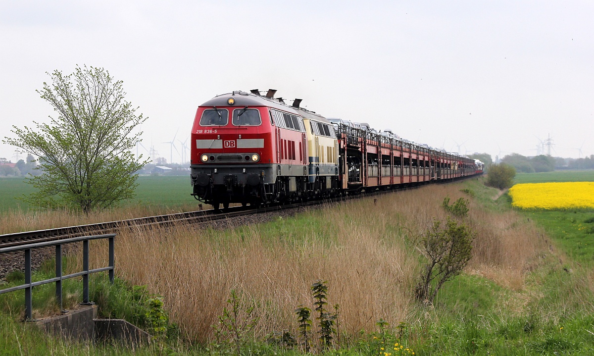 RPRS 218 490 + DB 218 836  mit Sylthuttle nach Westerland. Bü Triangel 16.05.2021