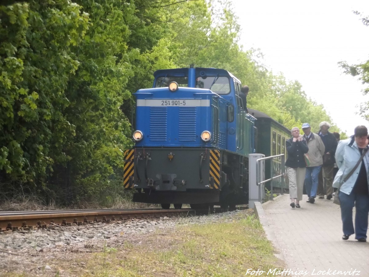 RBB 251 901 im Bahnhof Lauterbach Mole am 1.6.15