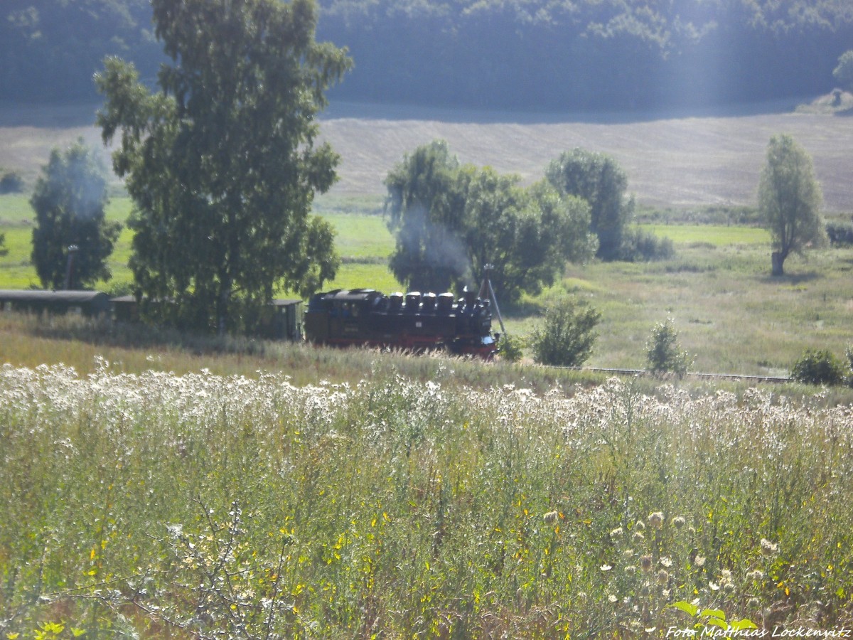 RBB 99 1781 zwischen Serasms & Seelvitz am 27.8.13