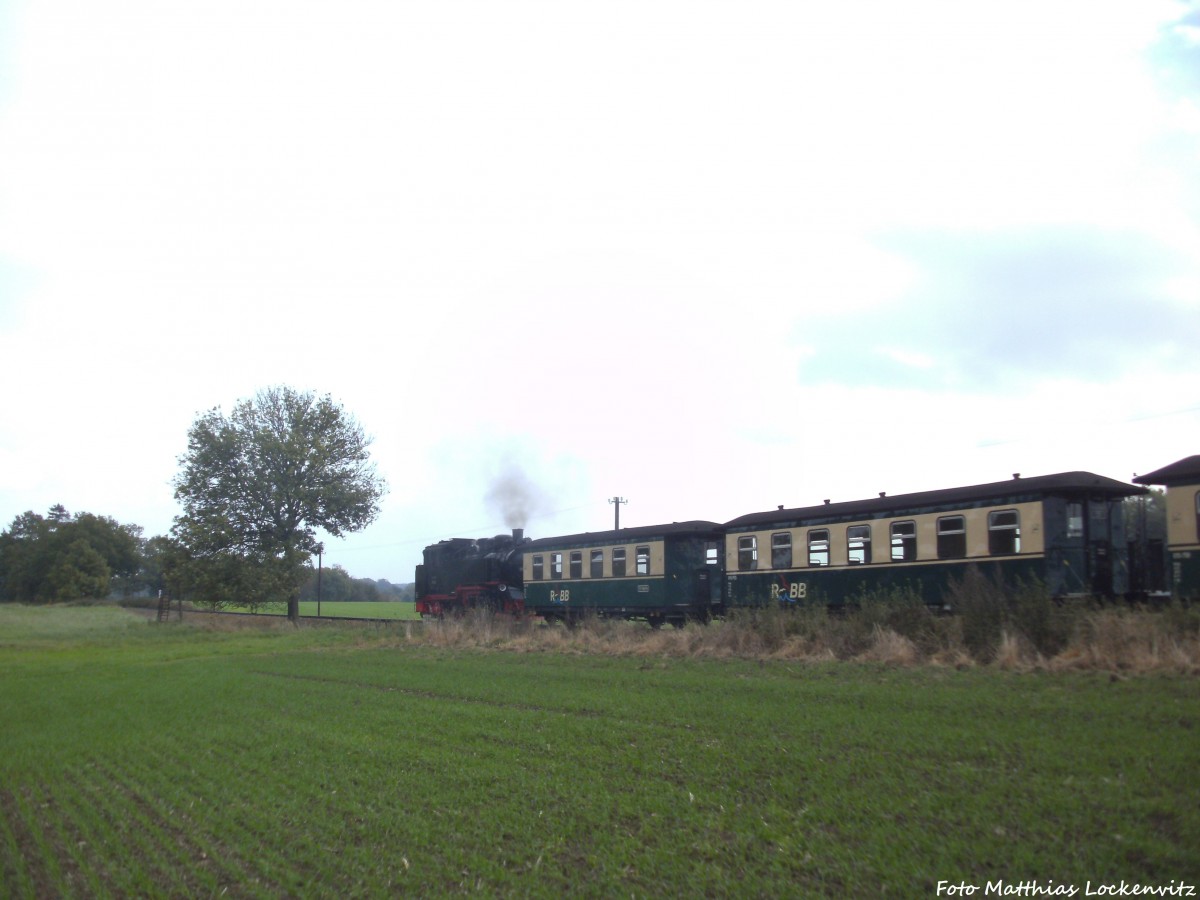 RBB 99 784 mit einem Personenzug unterwegs nach Ostseebad Ghren am 12.10.14