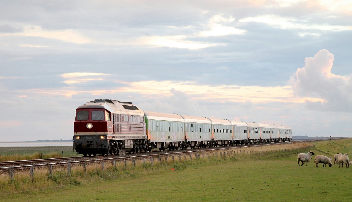 Salzland Railservice 232 088-5 mit NEX erreicht soeben im letzten Sonnenlicht auf dem Weg nach Salzburg das Festland. Friedrich-Wilhelm-Lübke-Koog 29.08.2020