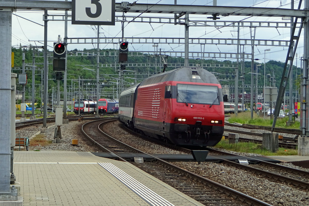 SBB 460 053 durcheilt Brugg AG am 25 Mai 2019. 