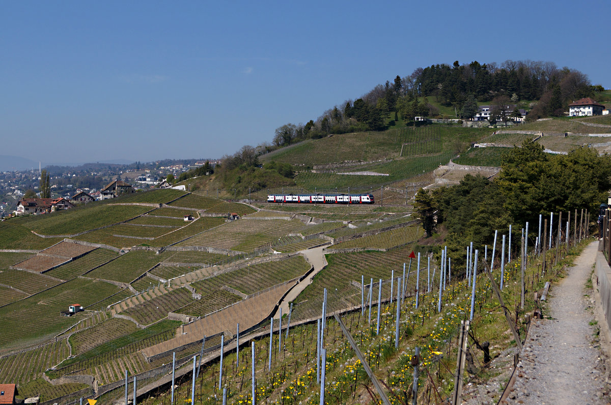 SBB: Im Lavaux, der schönsten Gegend der Schweiz wo gute Weine gedeihen lebt unser lieber Freund und  langjährige Bahnfotograf Stefan Wohlfahrt.
RABe 511 am 8. April 2017 bei Grandvaux unterwegs.
Foto: Walter Ruetsch 
 