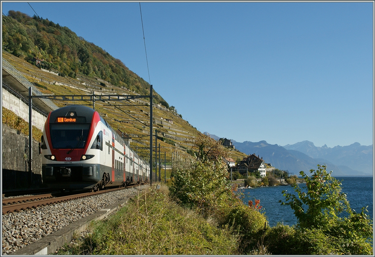 SBB RABe 511 118 bei Villette (VD).
28.10.2013