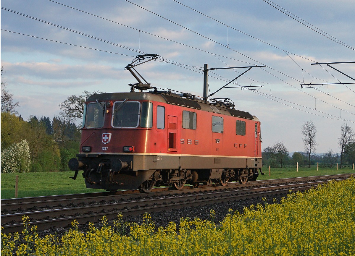 SBB: Re 4/4 11287 als Lokzug zu dem Güterbahnhof Langenthal zur Uebernahme eines Güterzuges. Die Aufnahme ist am 28. April 2015 bei Roggwil im letzten Abendlicht entstanden.
Foto: Walter Ruetsch 