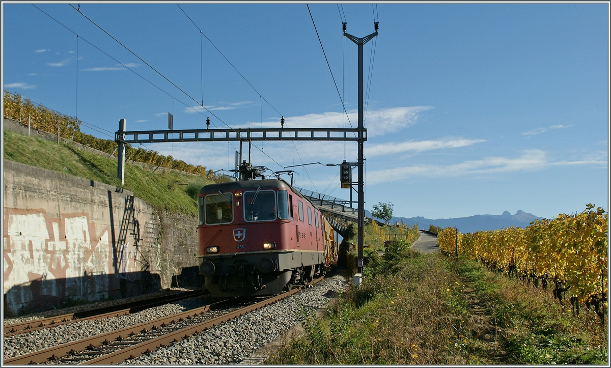 SBB Re 4/4 II 11258 bei Cully.
28. Okt. 2013