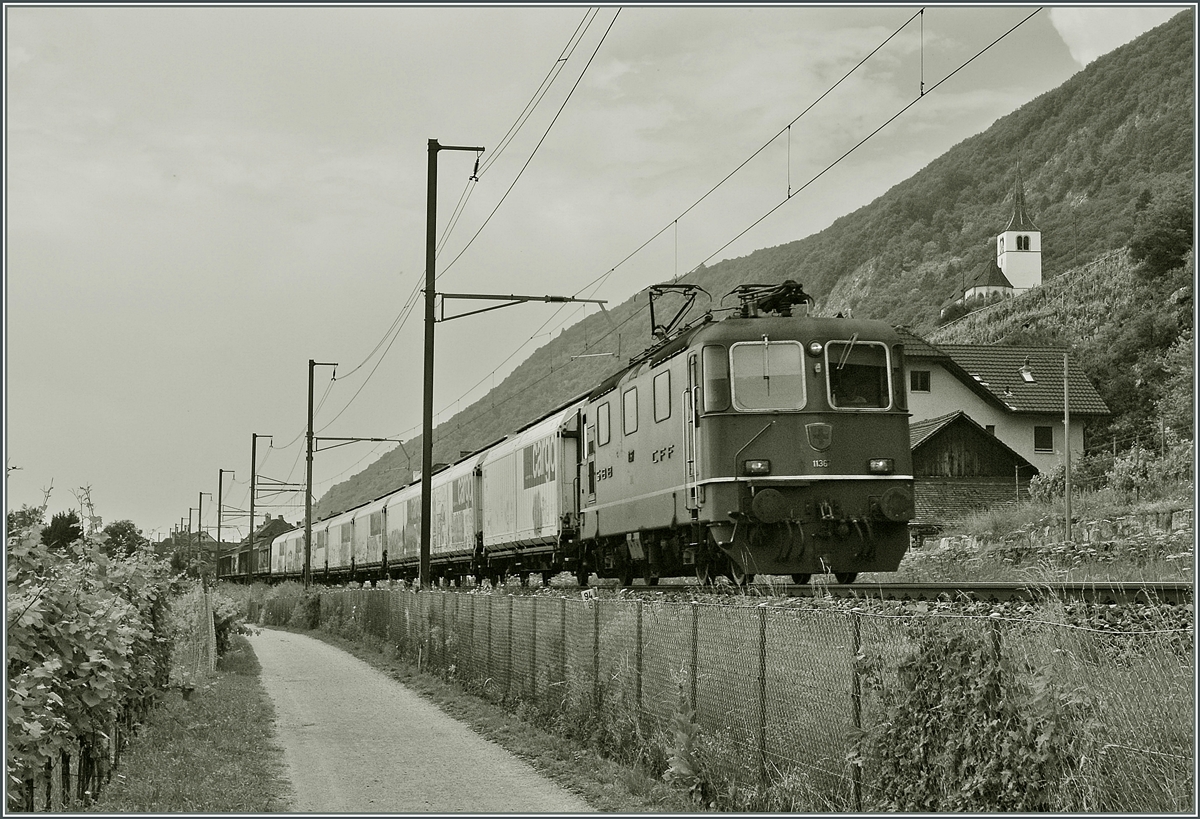 SBB Re 4/4 II 11367 mit einem Cargo Zug bei Ligerz, oben rechts im Bild die Bekannte Kirche von Ligerzh
23. Juli 2013